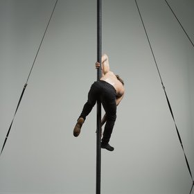 Chinese pole male 8 — figure reference